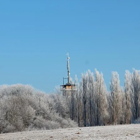 Отель Godewind Тиссов