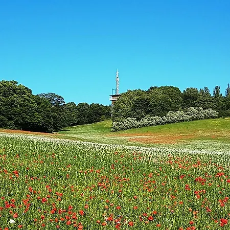 Godewind 3* Тиссов